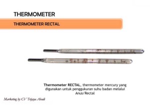 THERMOMETER Rectal